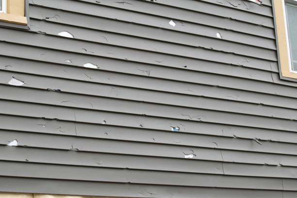 Best Storm Damage Siding Repair  in Bethany, IL